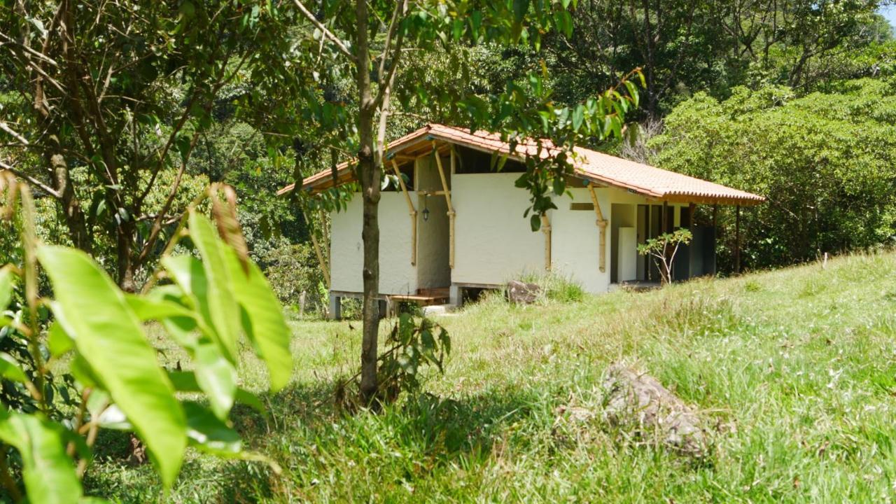 La Perla Negra - Black Pearl Eco Hostel San Rafael  Exterior photo