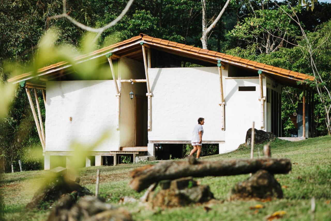 La Perla Negra - Black Pearl Eco Hostel San Rafael  Exterior photo