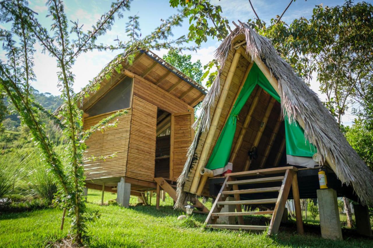 La Perla Negra - Black Pearl Eco Hostel San Rafael  Exterior photo